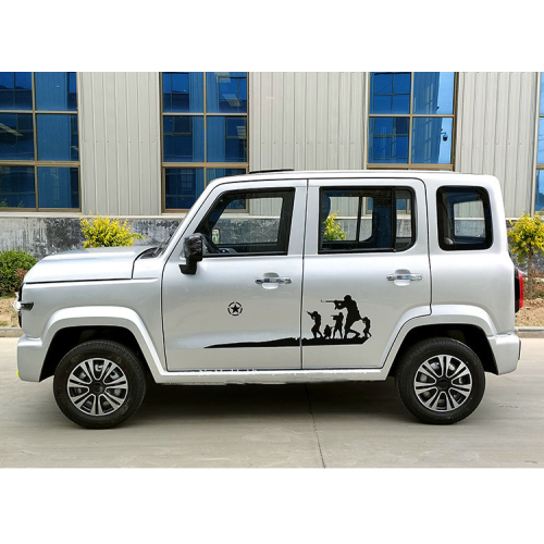 2023 new energy vehicles Tank 300 hot sale wholesale low-speed four-wheeled  cheapest electric cars for adults small car